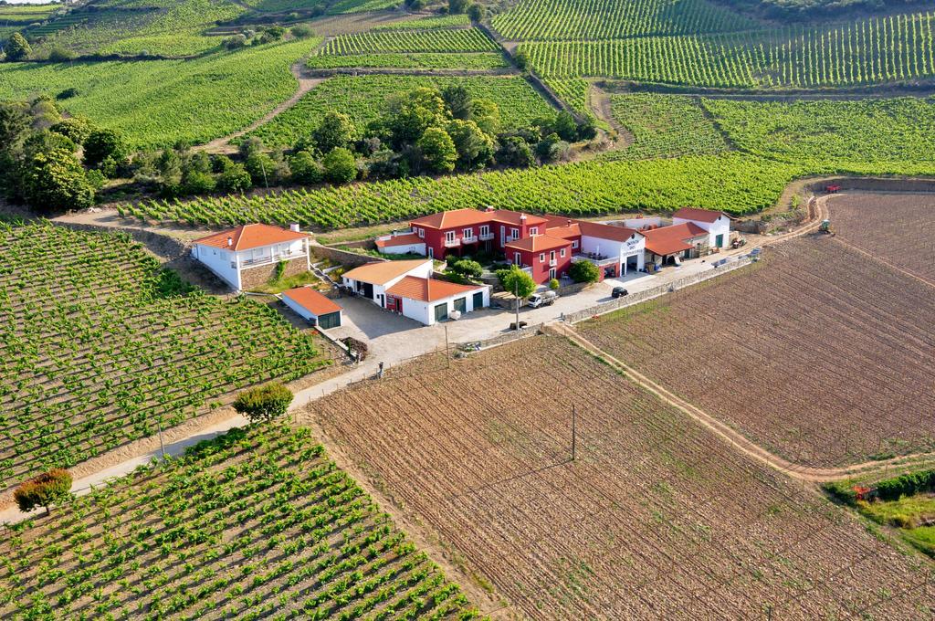 Quinta Dos Espinheiros Villa Provesende Exterior photo