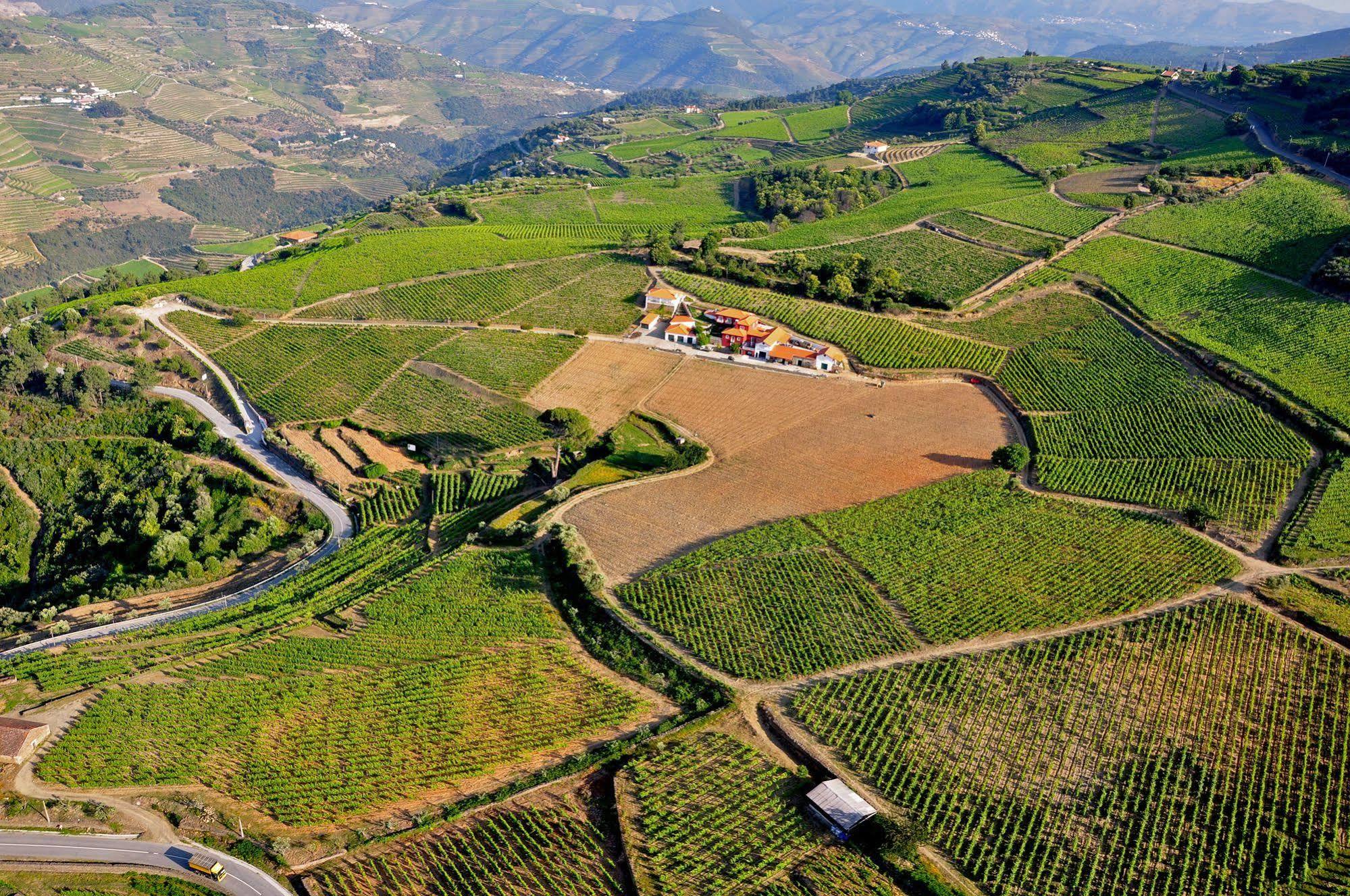 Quinta Dos Espinheiros Villa Provesende Exterior photo